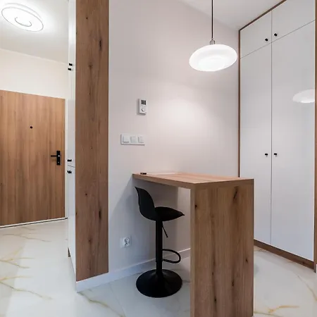 Posnania Comfort By Bookinghost 公寓